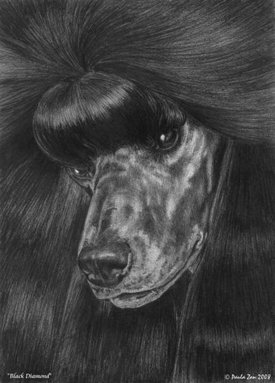 Paula McArdle シルクスクリーン　Dog and Bone Paula McArdle シルクスクリーンDog and Bone